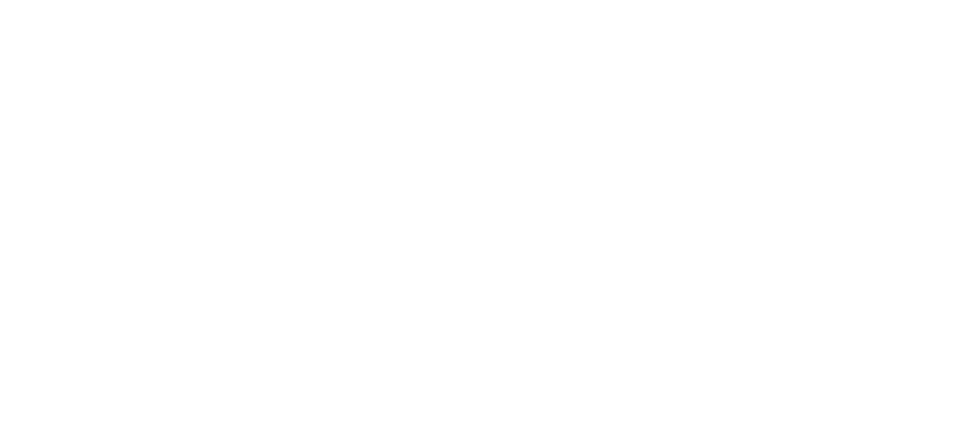 Vertex Travel